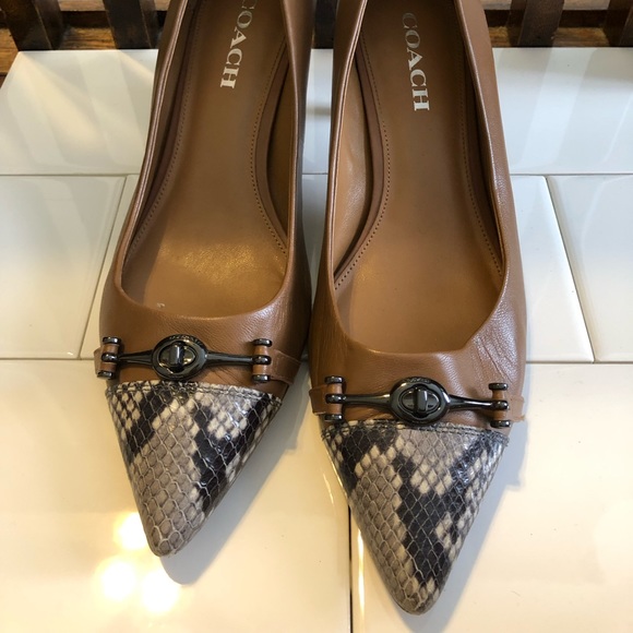 Coach Shoes - Dark tan COACH pumps with snakeskin tip detail.